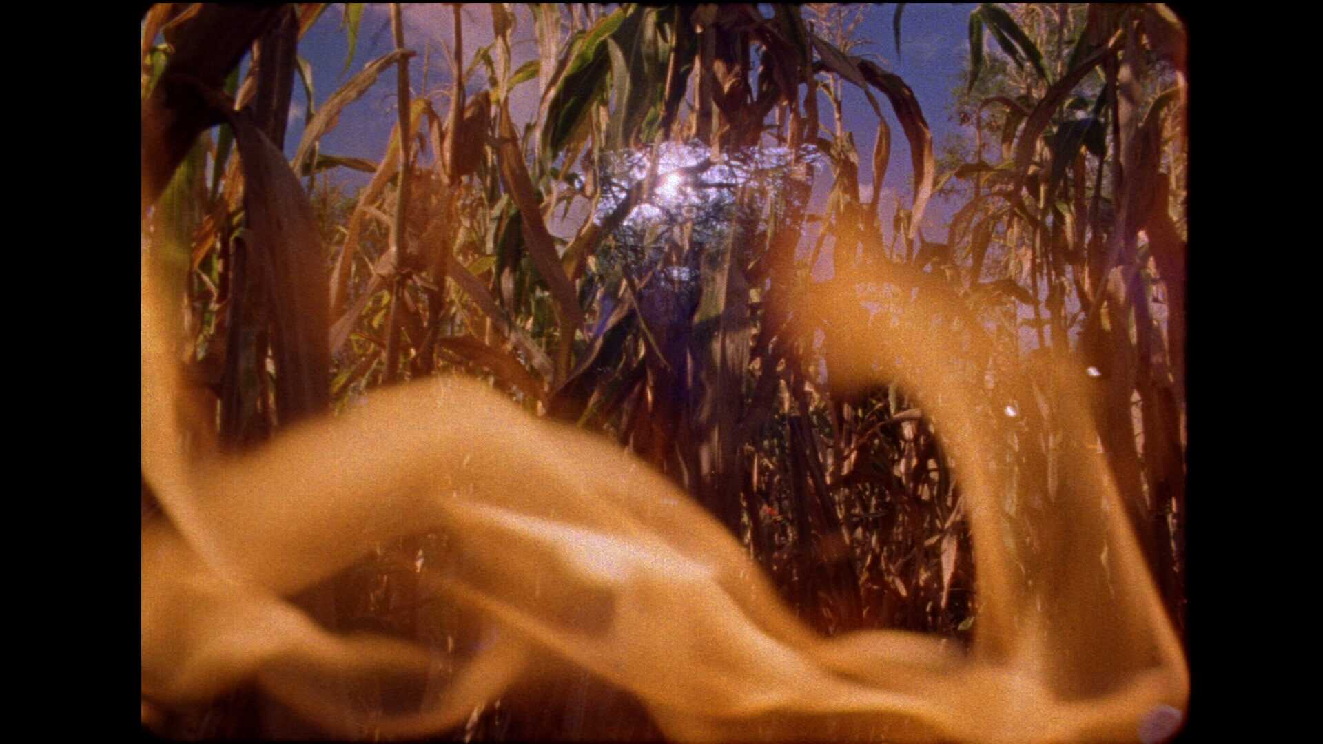 Colectivo Los Ingrávidos, The Sun Quartet, part 2: San Juan River, 2018, video still, courtesy the artists